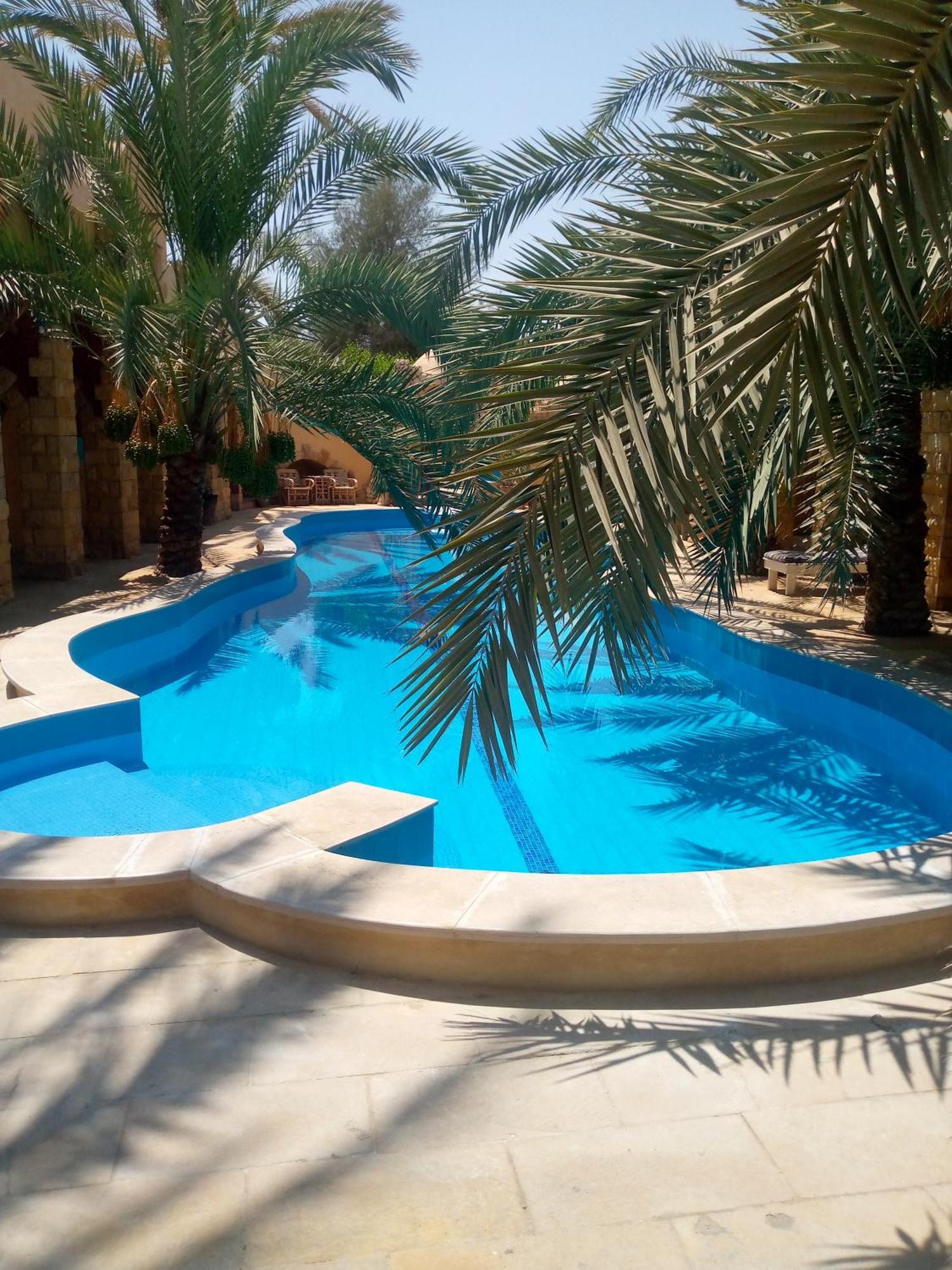 Panta Siwa بنتا لودج سيوة Hotel Siwa Oasis