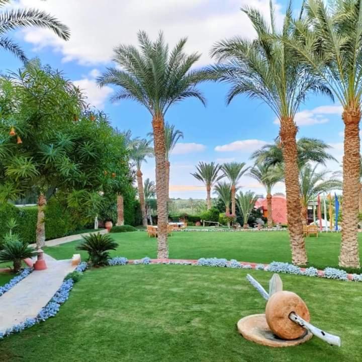 Resort Lazib & 5*