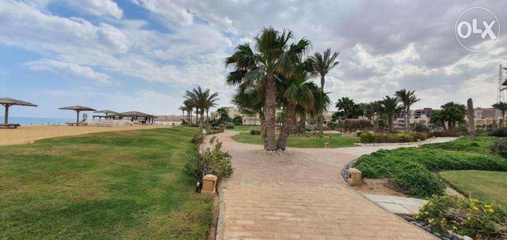 Apartment Laguna Bay Chalet: Rooftop Retreat In Ain Sokhna *