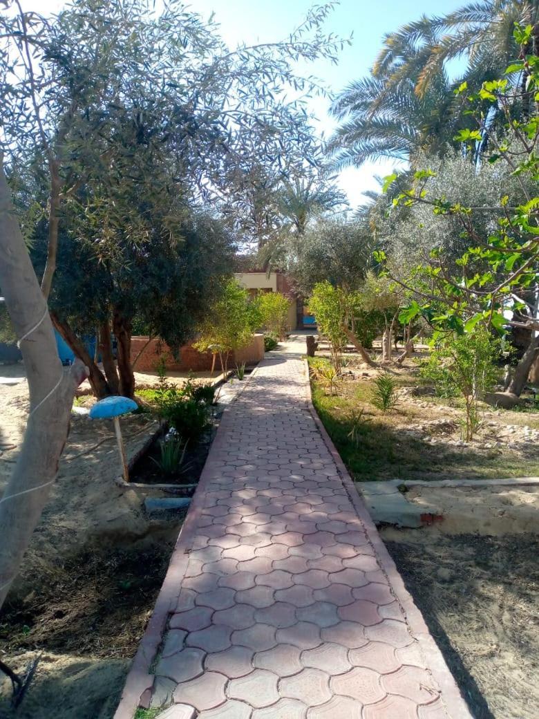 Hotel Panta Siwa بنتا لودج سيوة