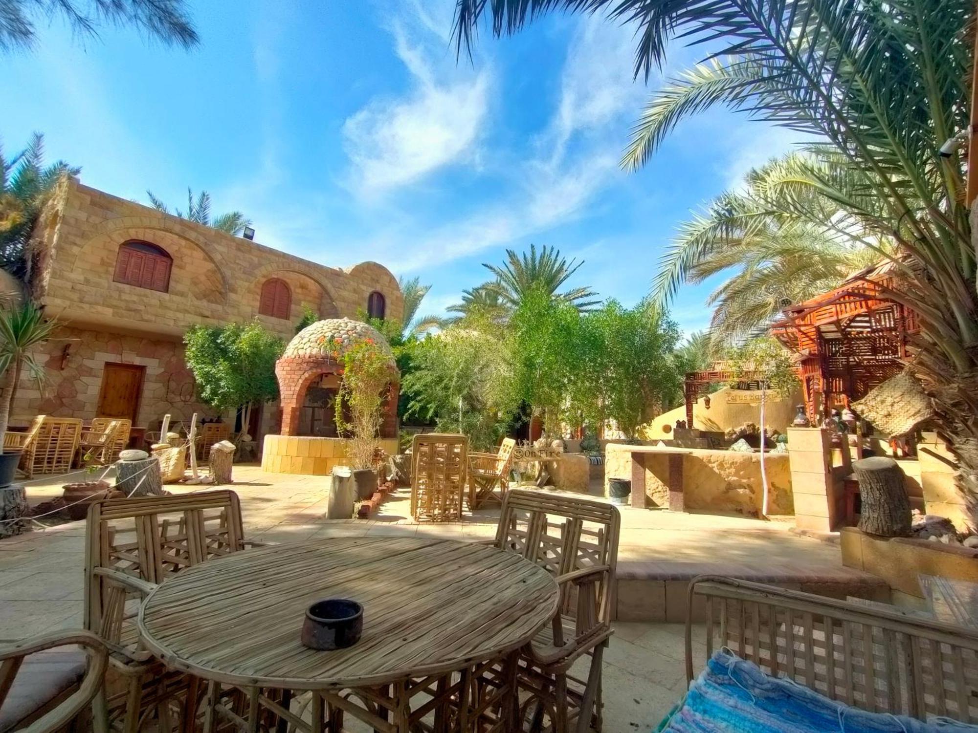 Panta Siwa بنتا لودج سيوة Siwa Oasis