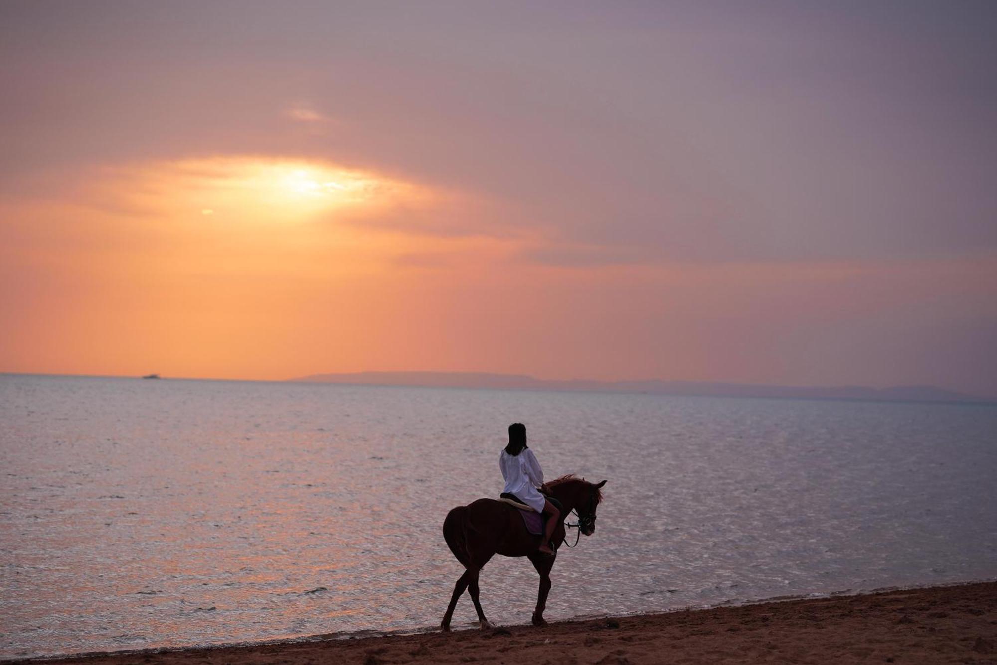 Club Paradisio El Gouna Red Sea Resort