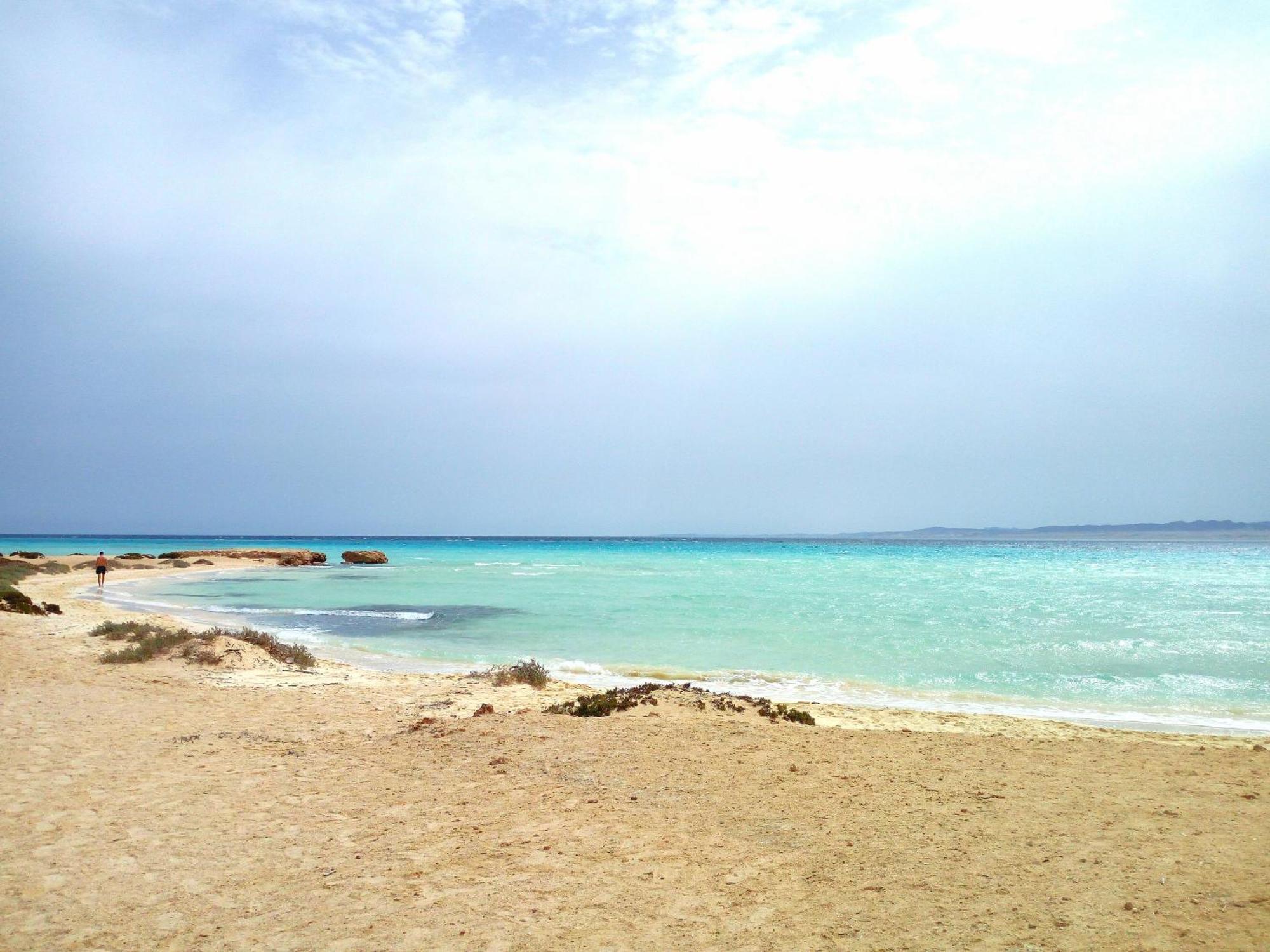 Deep Ashri Marsa Alam