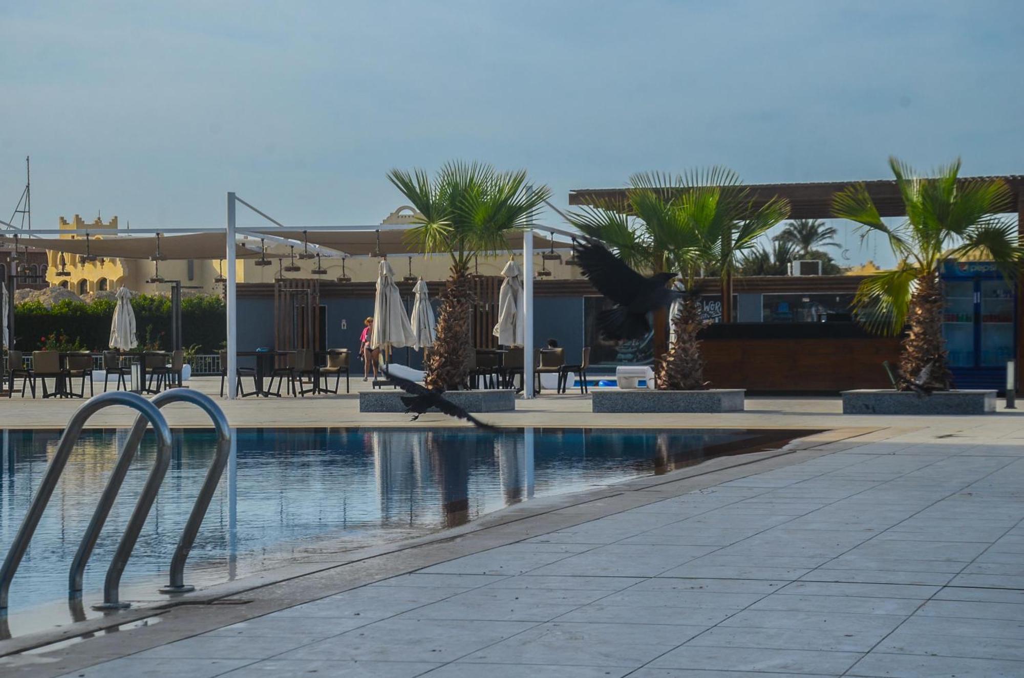 Apartment Scandic