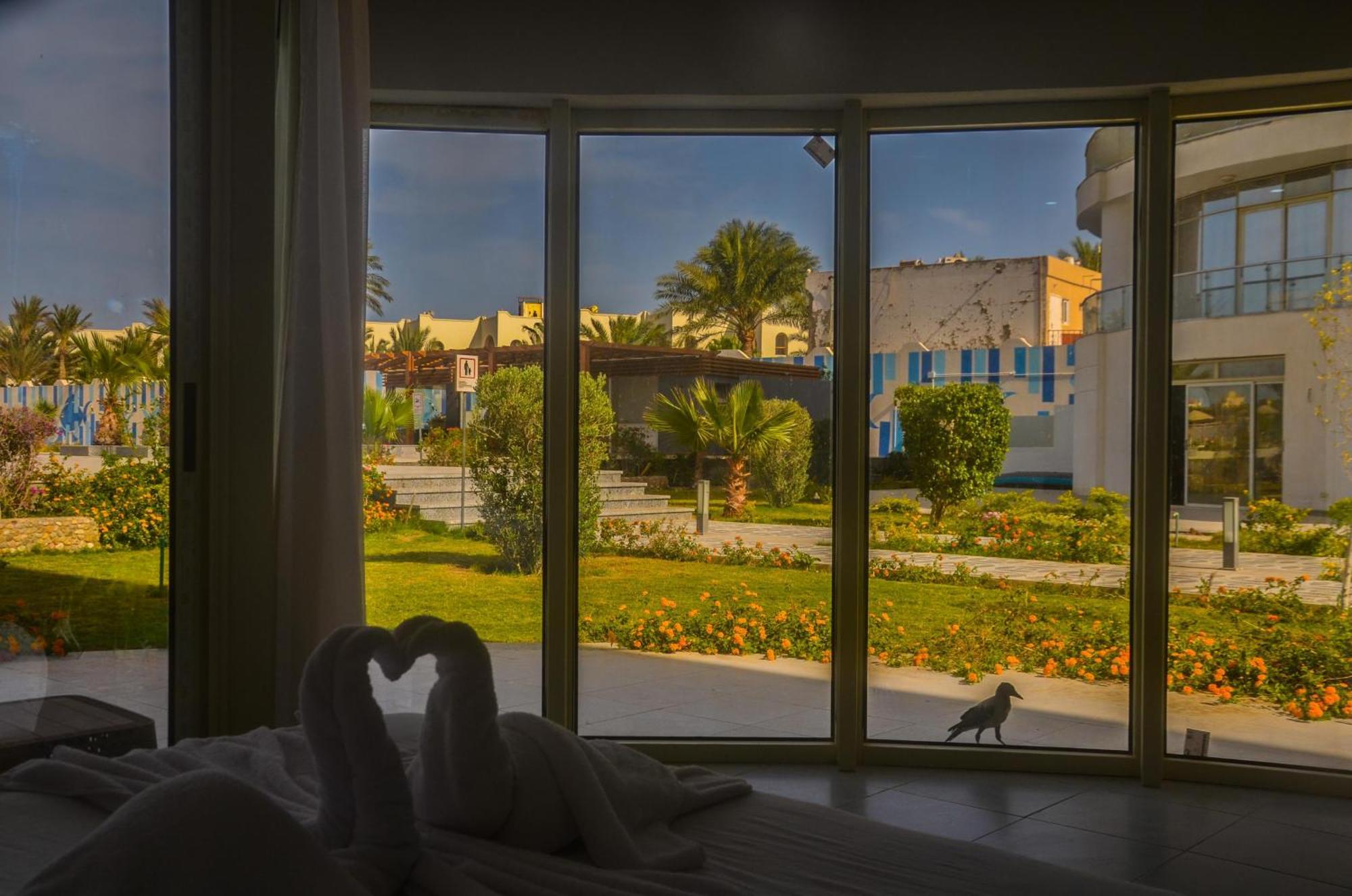 Scandic Apartment Hurghada