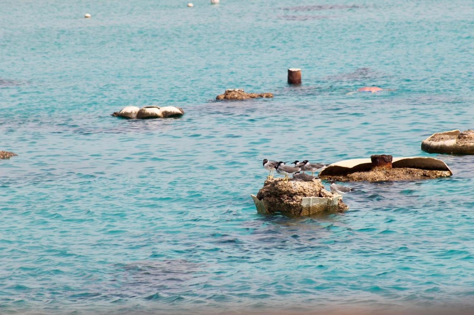 Pousada Kuba Luxus - In Sahl Hashesh-hurghada *