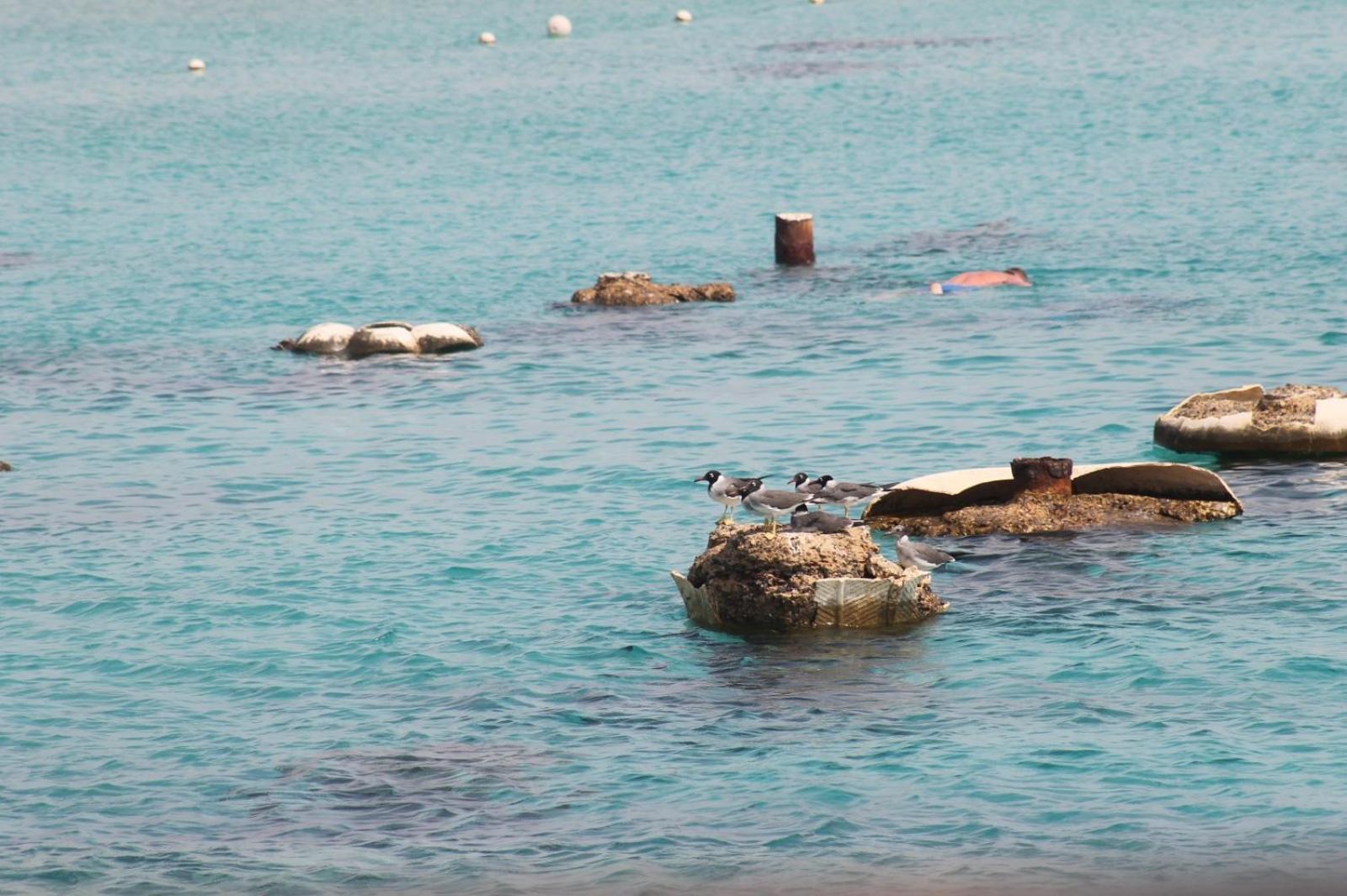 Pousada Kuba Luxus - In Sahl Hashesh-hurghada