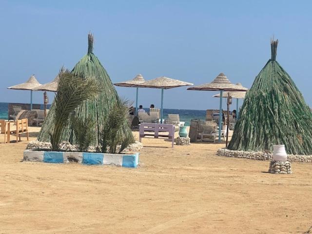 Marvel Loli Camp Campsite El Qoseir