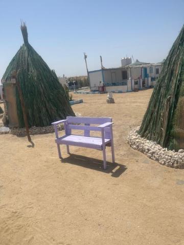 Campsite Marvel Loli Camp El Qoseir