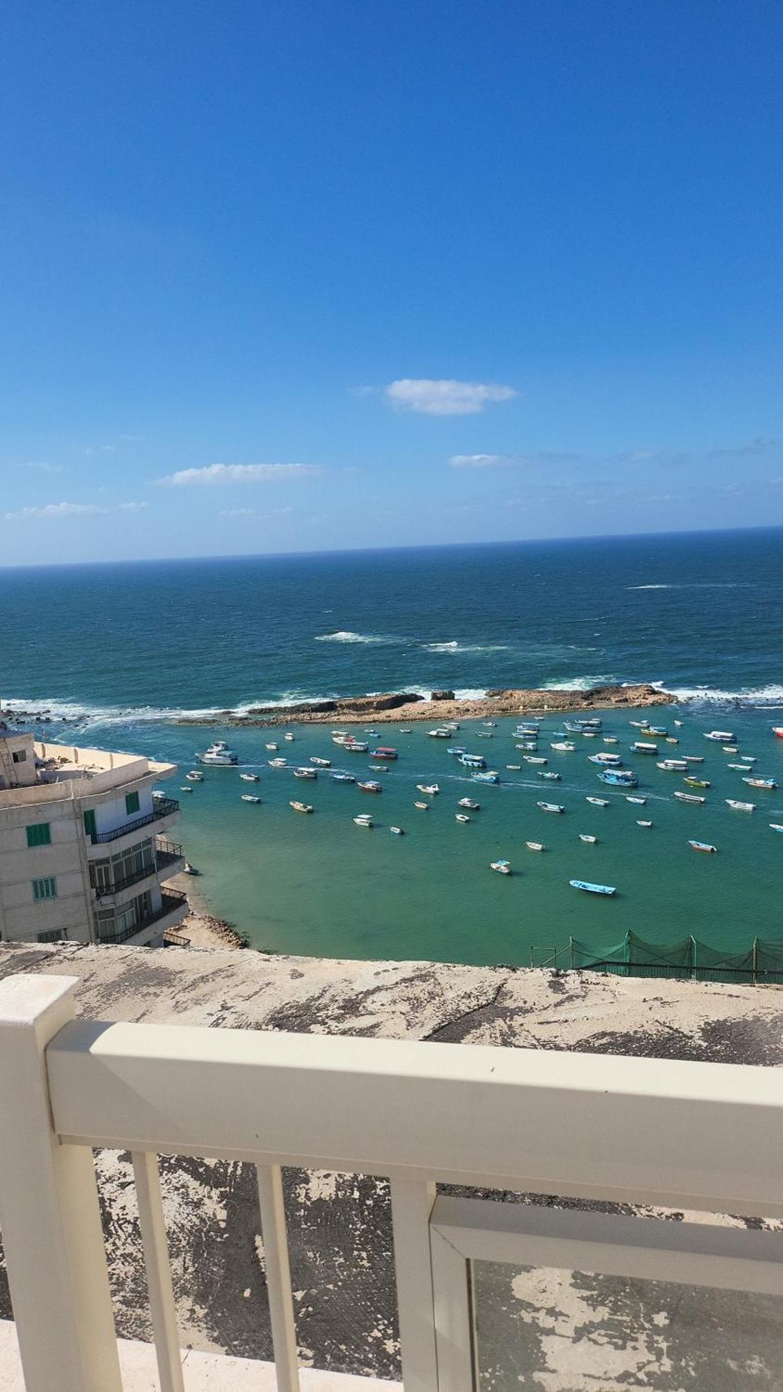 شقه فى ميامى بالاسكندريه مطله على البحر