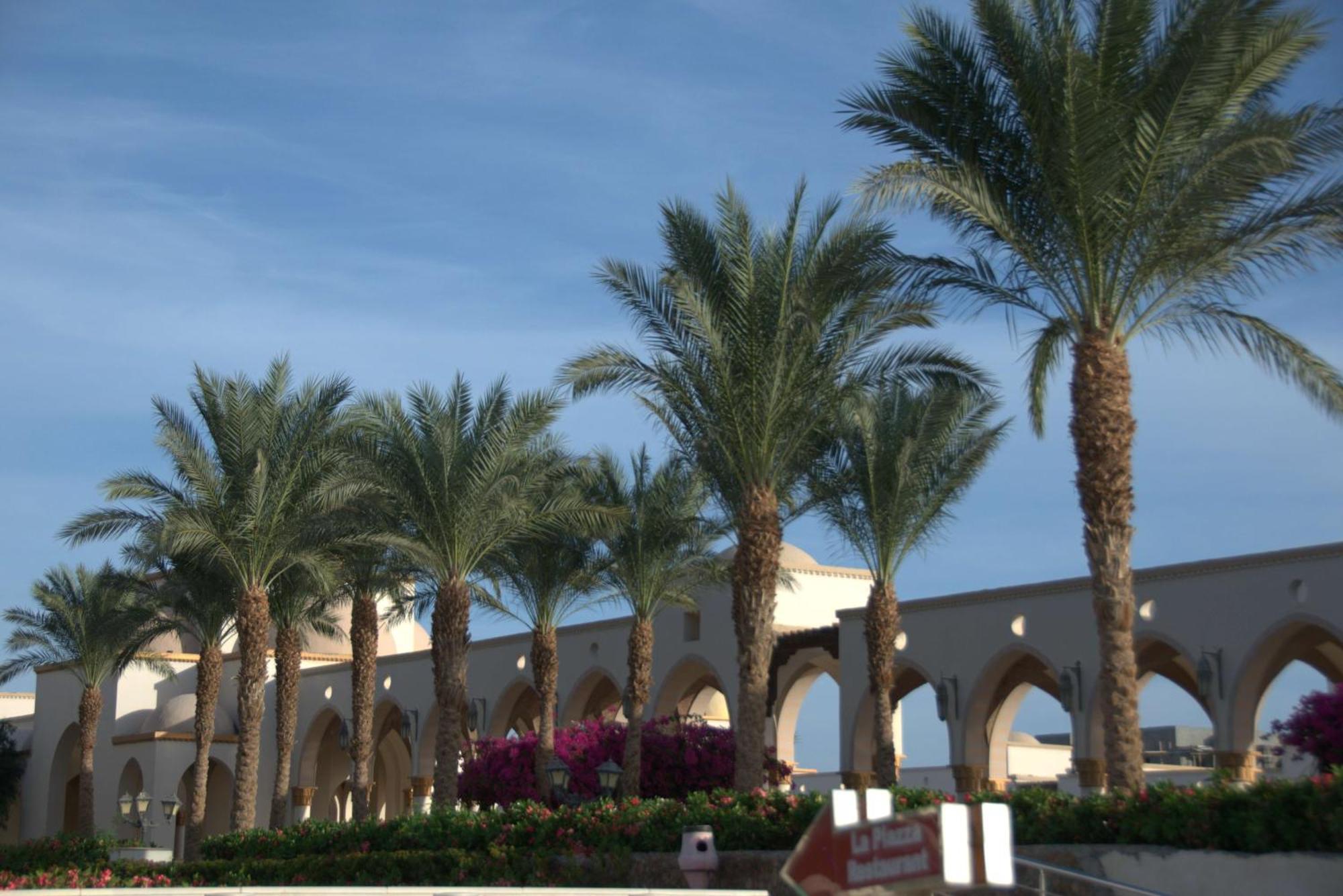 Apartment Oskena Azzurra Sahl Hasheesh *