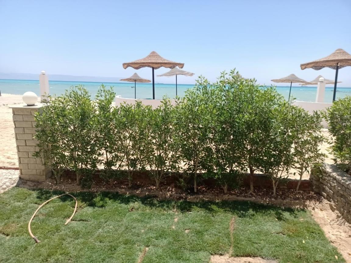 Apartment مكيف علي البحر صف أول بحديقة خاصة ومكيف بمنتجع براس سدر *