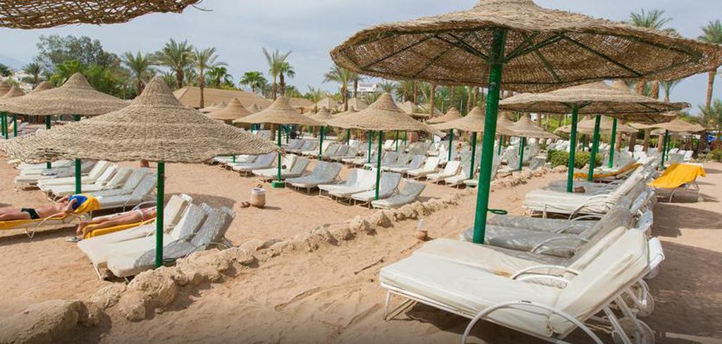 Oonas Dive Club