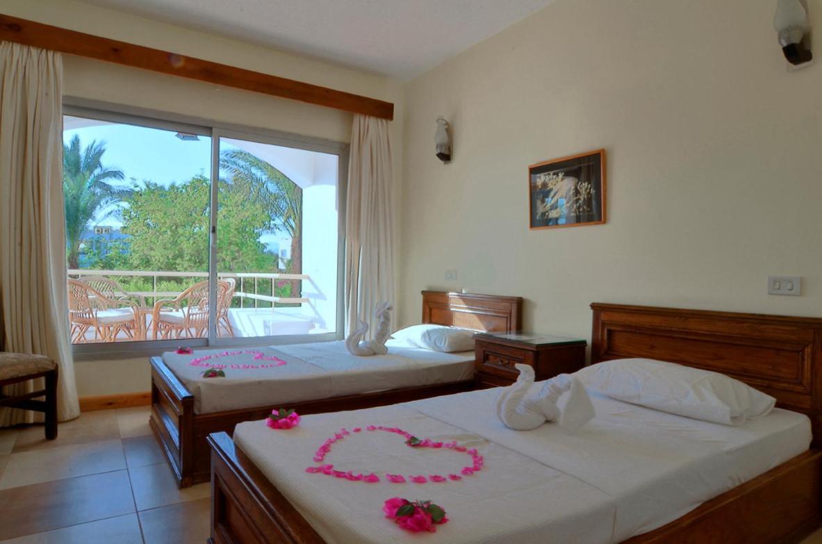 Resort Oonas Dive Club Şarm El-Şeyh