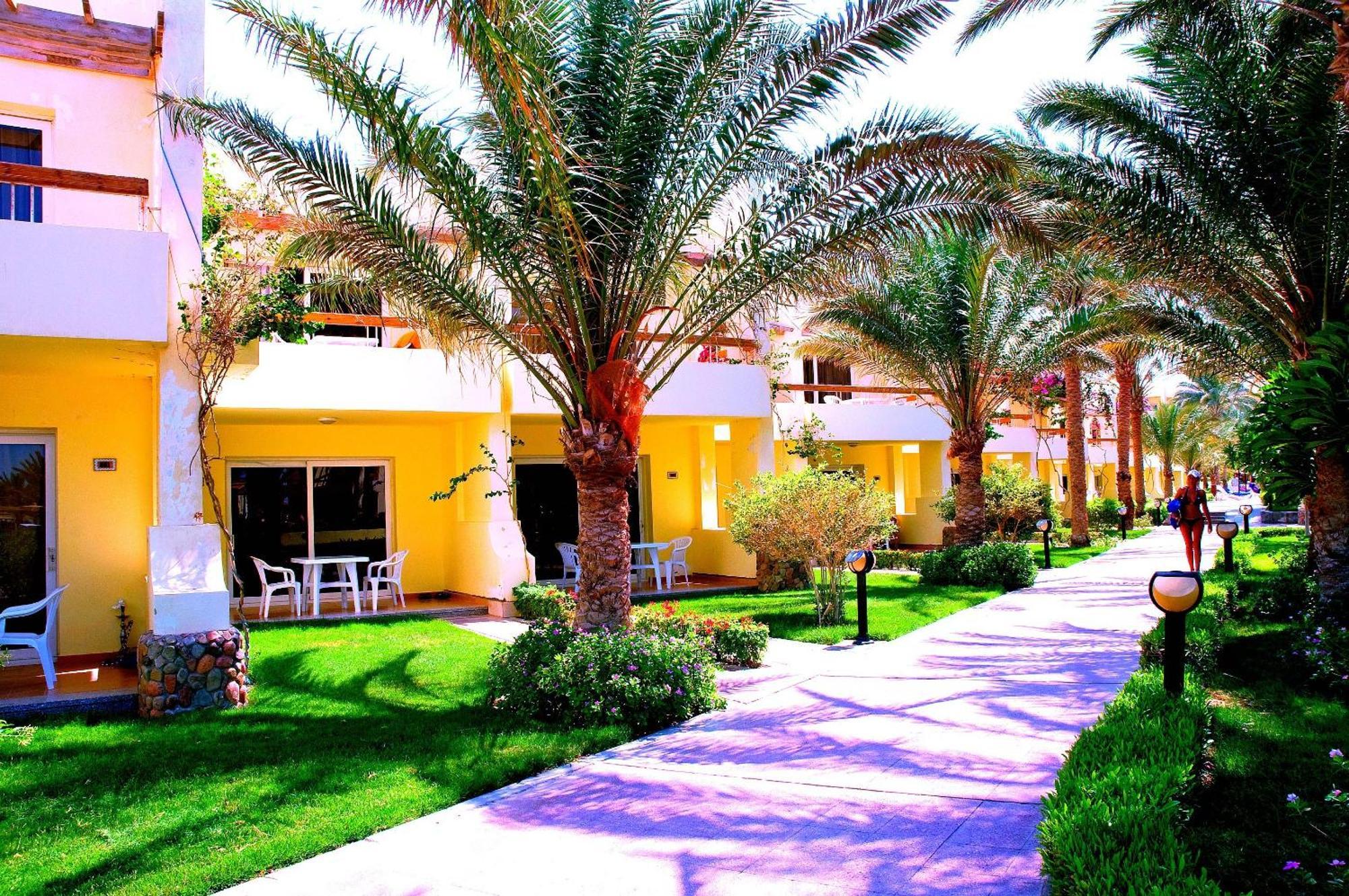 Resort Palm Families And Couples Only 4*