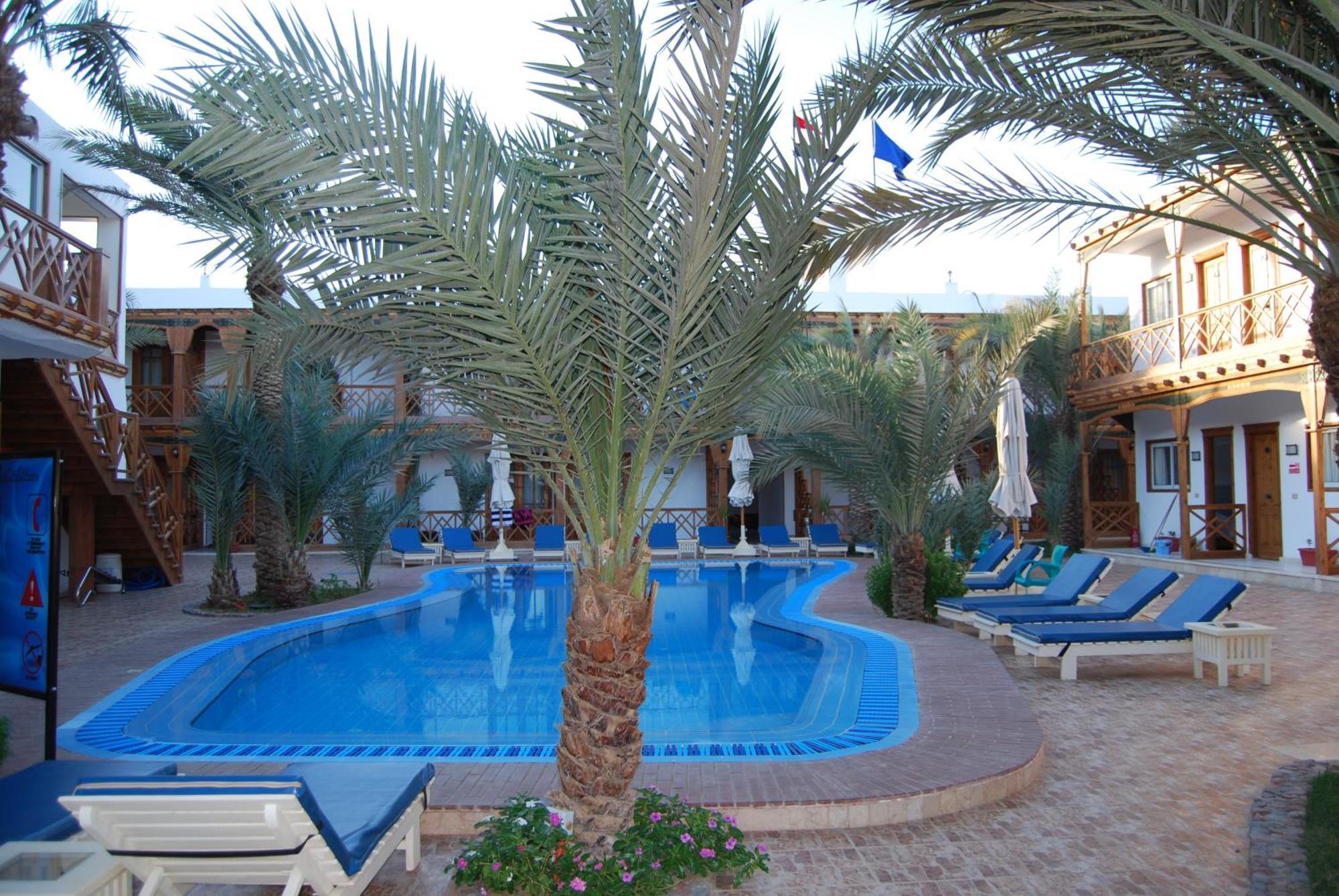 Acacia Dahab
