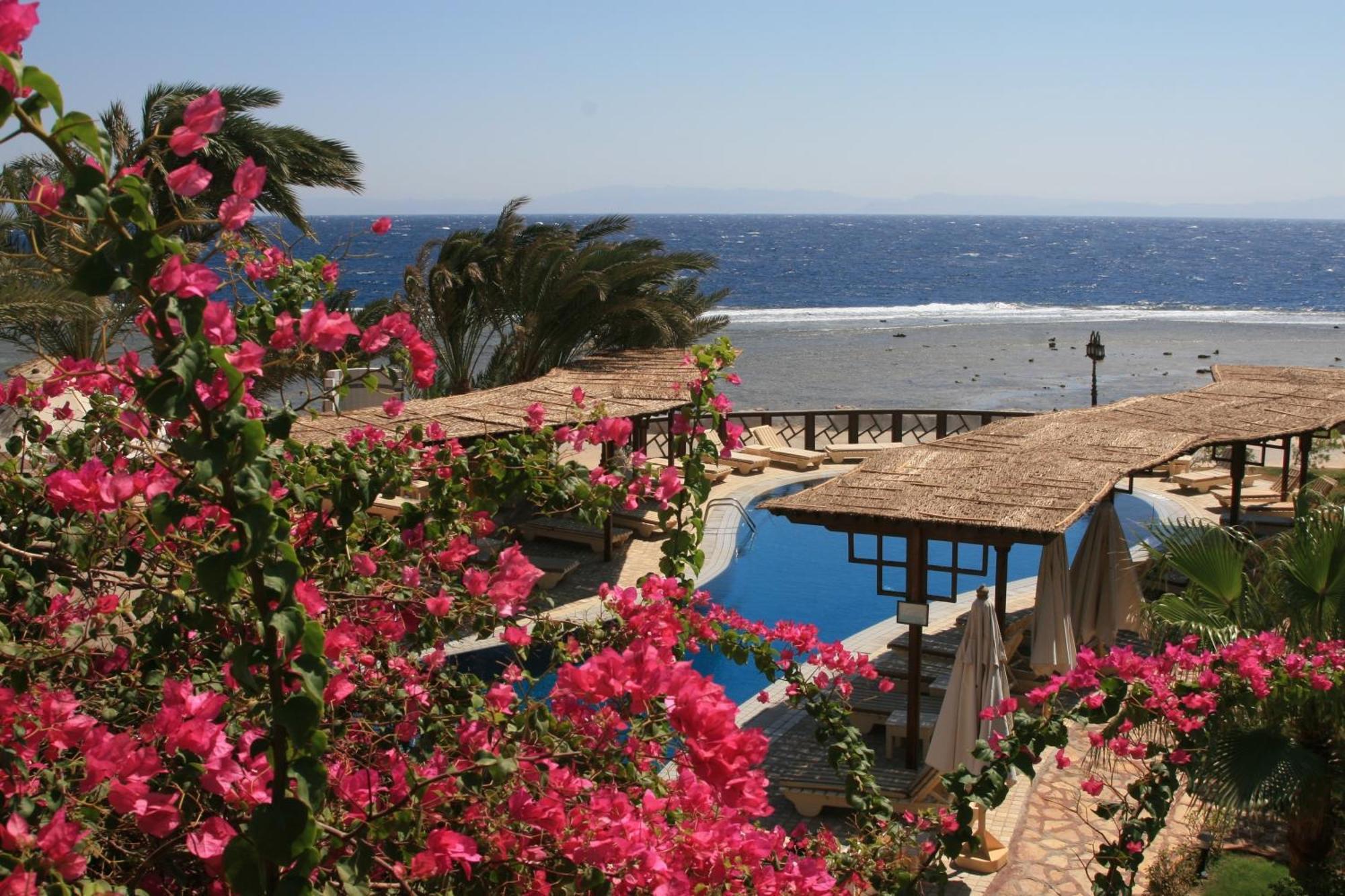 Resort Nesima Dahab