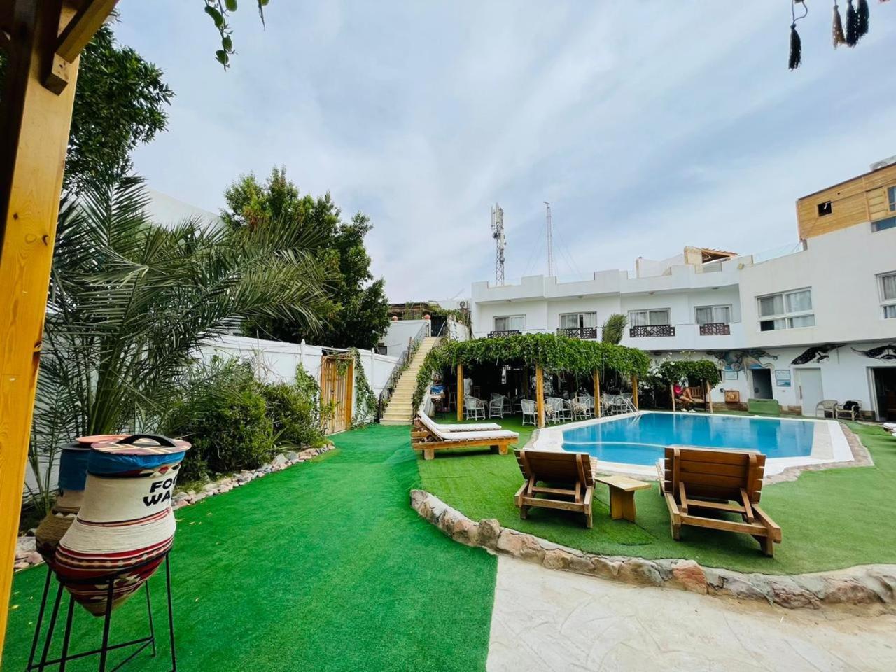 Hostel Club Red Dahab