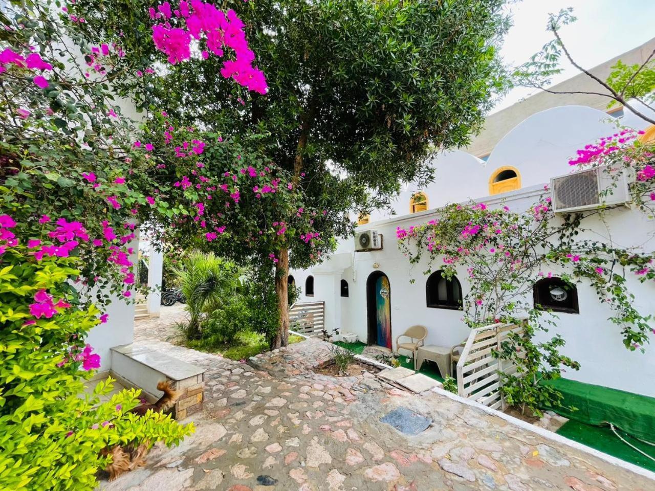 Hostel Club Red Dahab