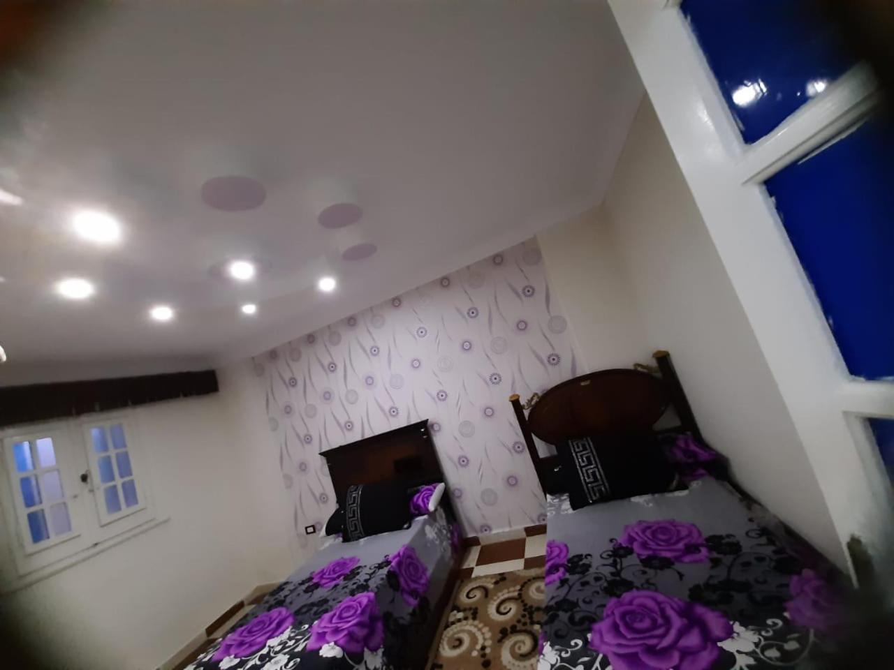 اسكندر ابراهيم Alexandria
