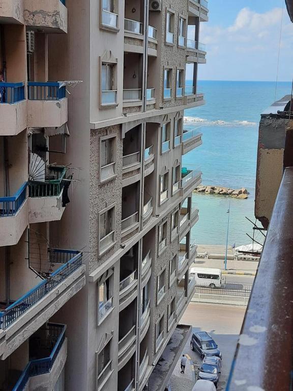 اسكندر ابراهيم Alexandria