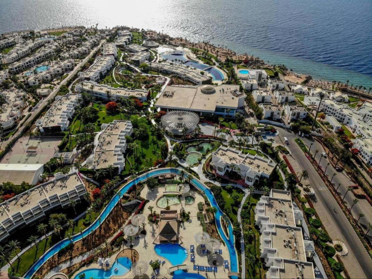 Monte Carlo & (adults Only)