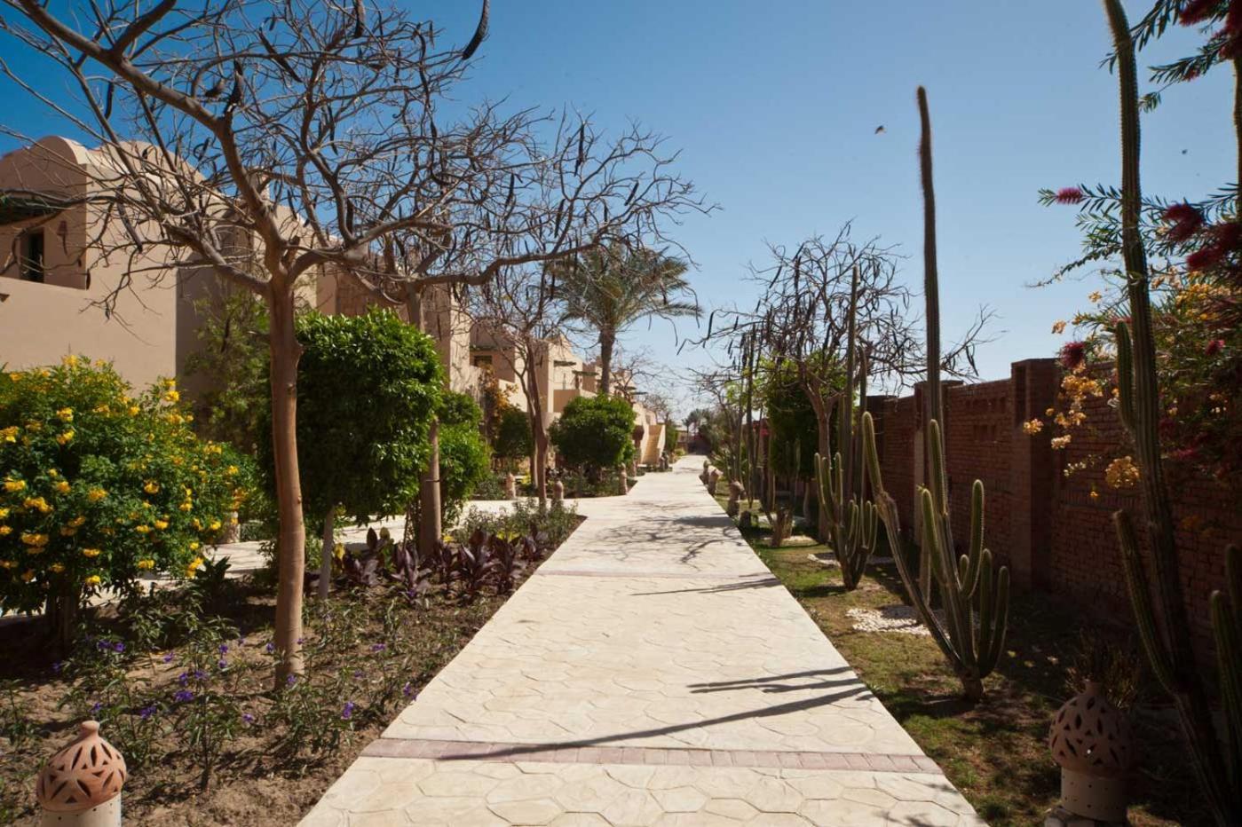 Resort Shams Alam Abu Ghusun