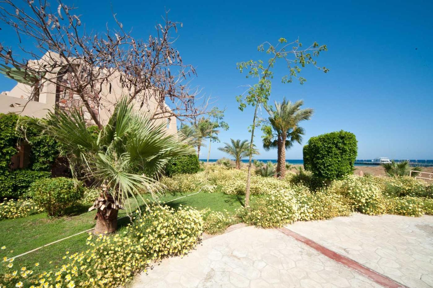 Shams Alam Resort