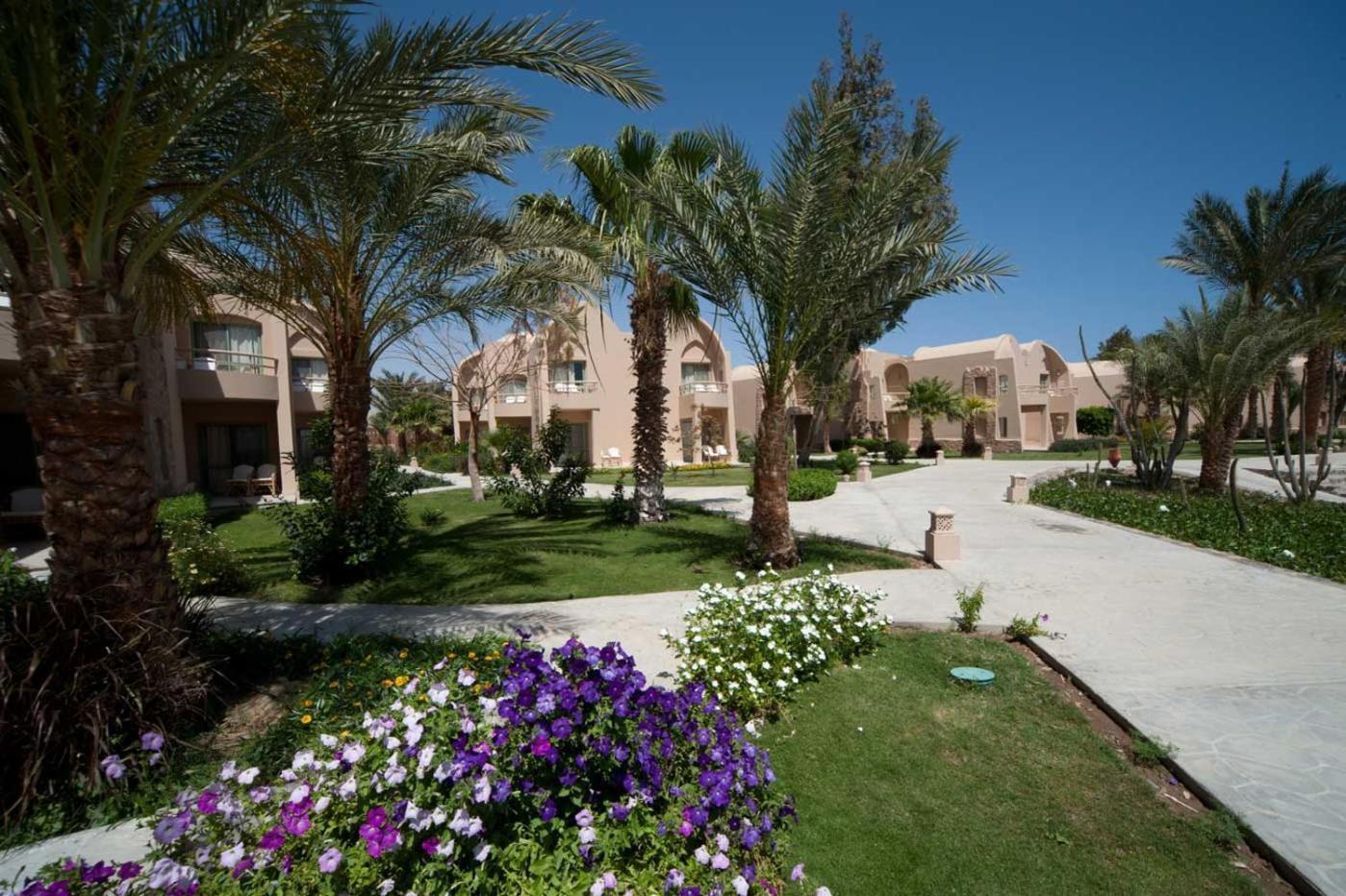 Resort Shams Alam 4*