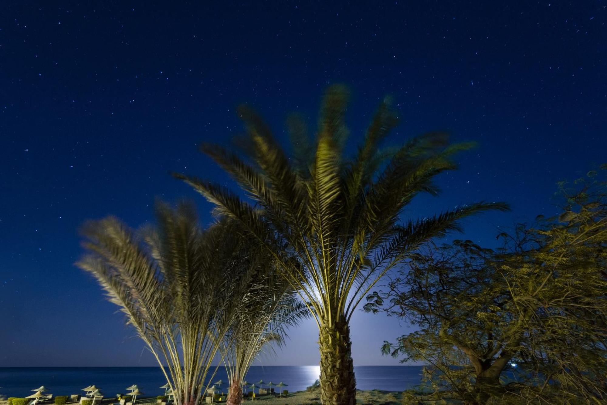Shams Alam Resort