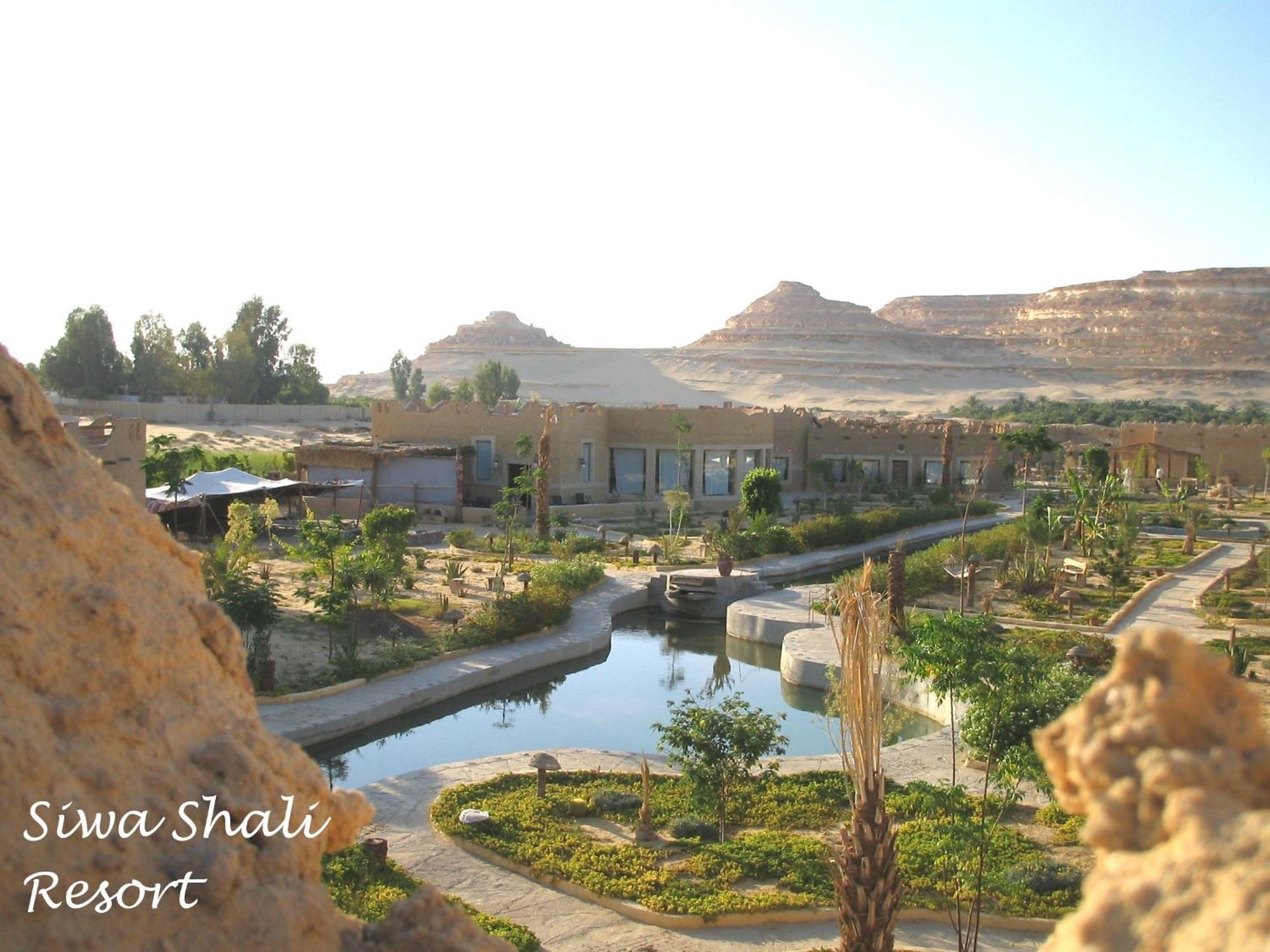 Siwa Shali Complex 3*