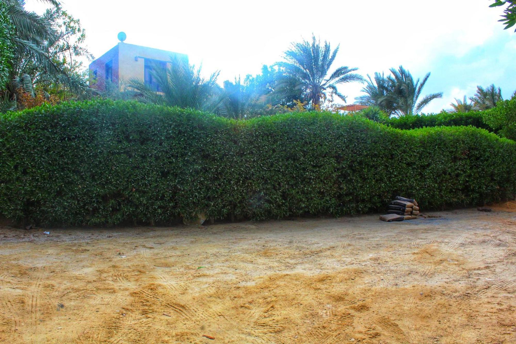 Tunis Village