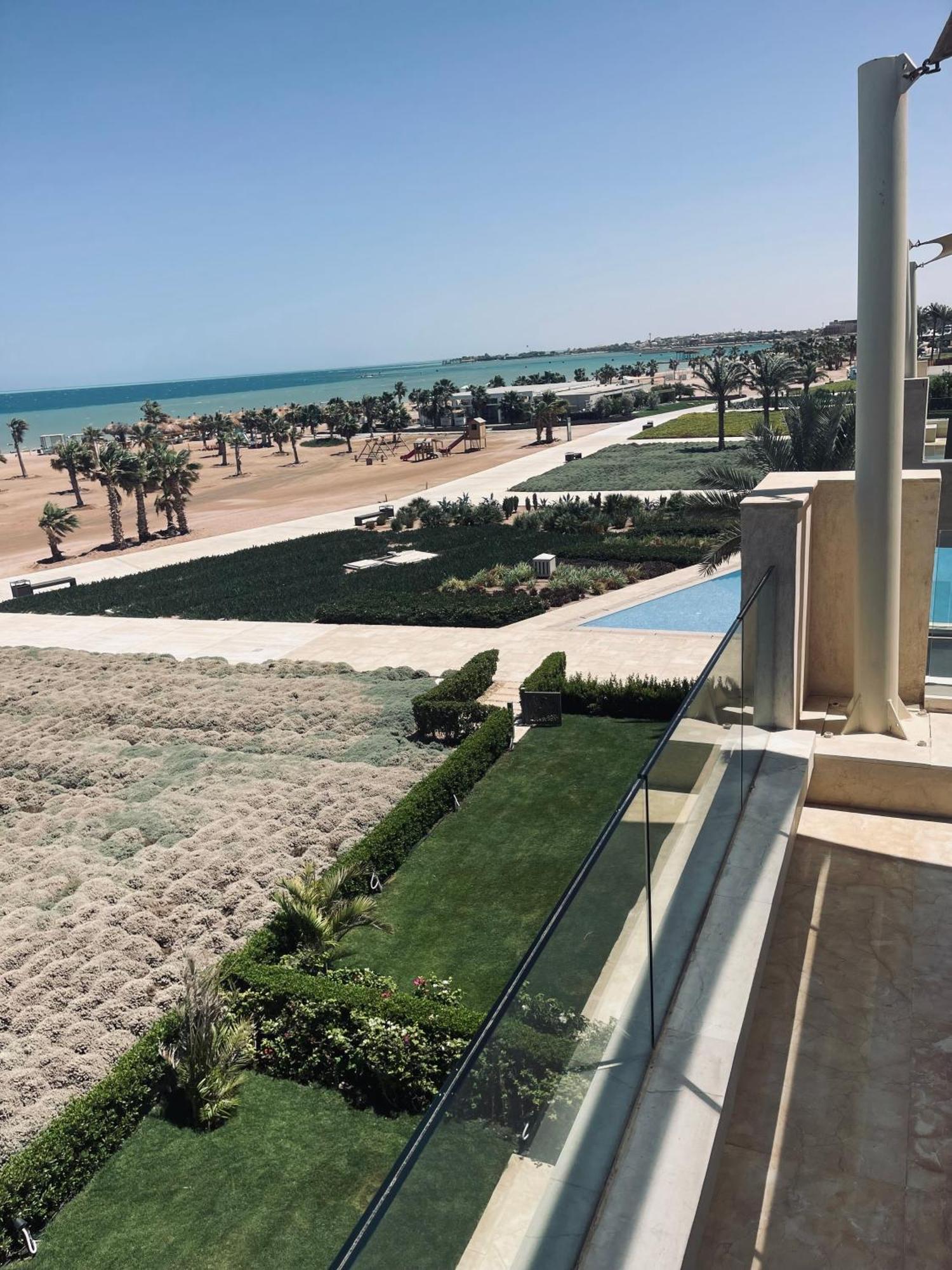 Mangroovy El Gouna - Grovin