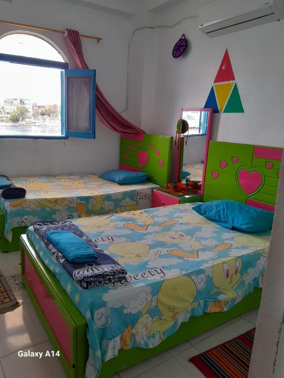 Nile View Rana Nubian Guest Houes Guest house Aswan