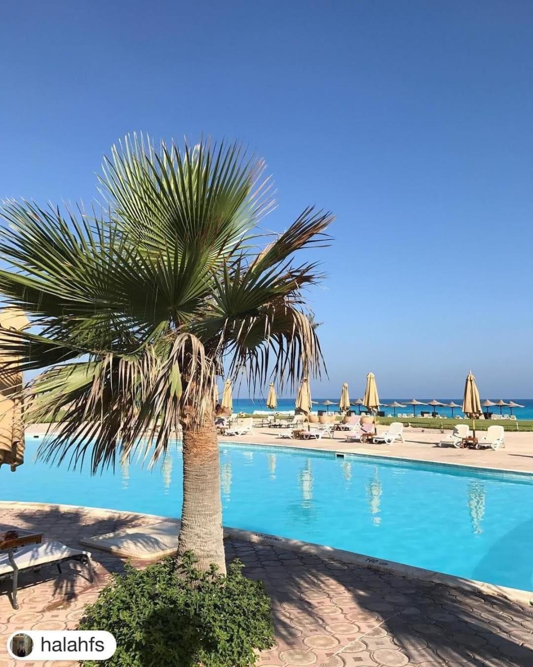 Borg El Arab Beach Resort 5*
