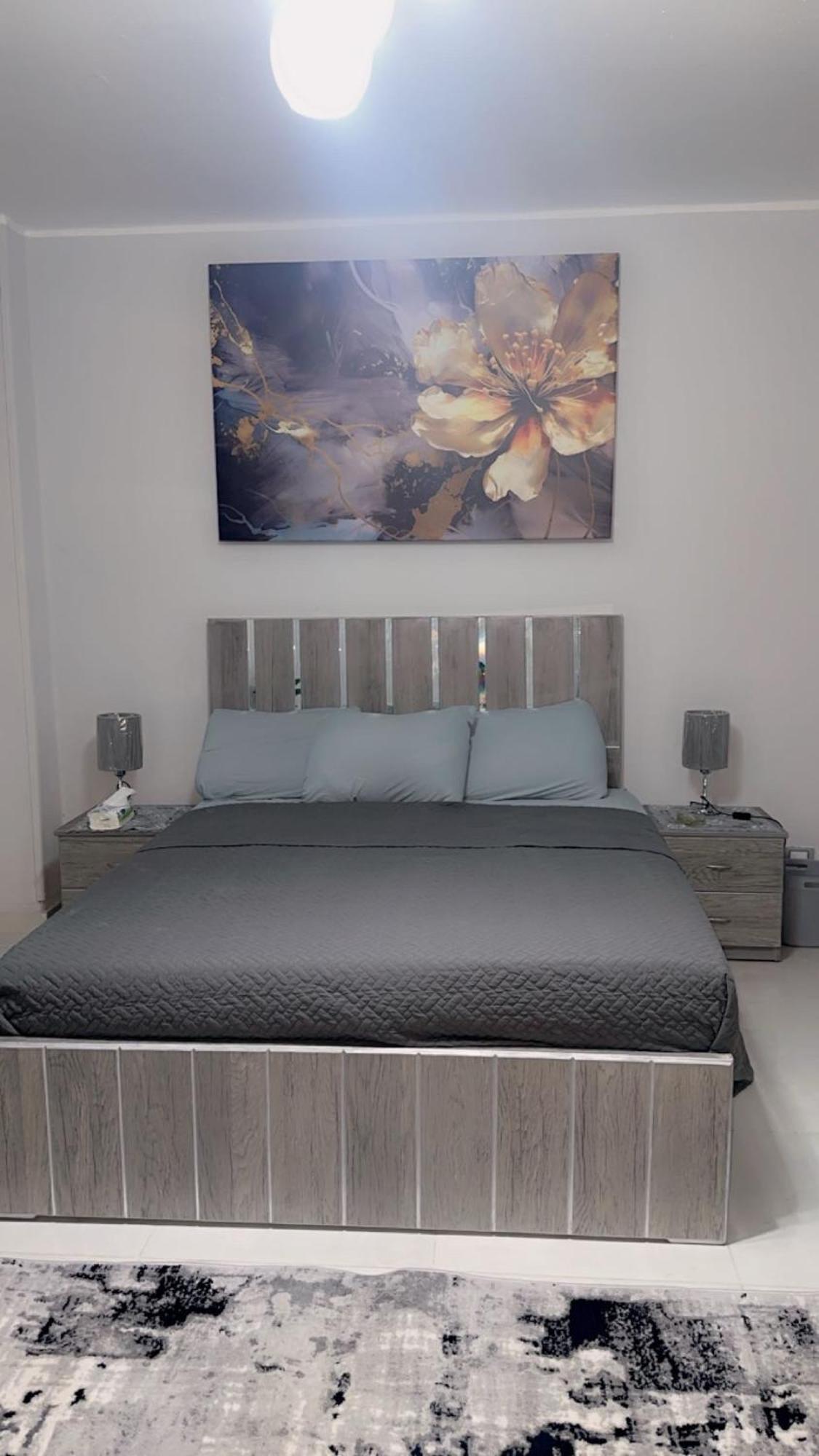 Apartment مدينة نصر