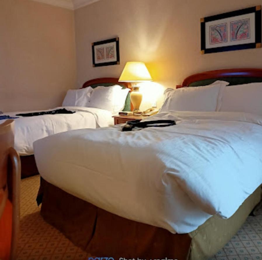 Apartment The Luxurious, Wonderful Location In Egypt, New Cairo, Resort, Air Conditioning, Free Internet الافخم أروع موقع مصر القاهرة الجديدة مدينتي مكيفة انترنت مجاني