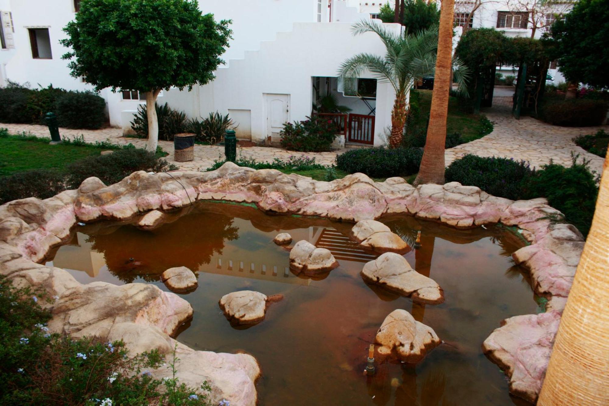 Apartment Lovely @delta Between Naama Bay &old Market Sharm el-Sheikh