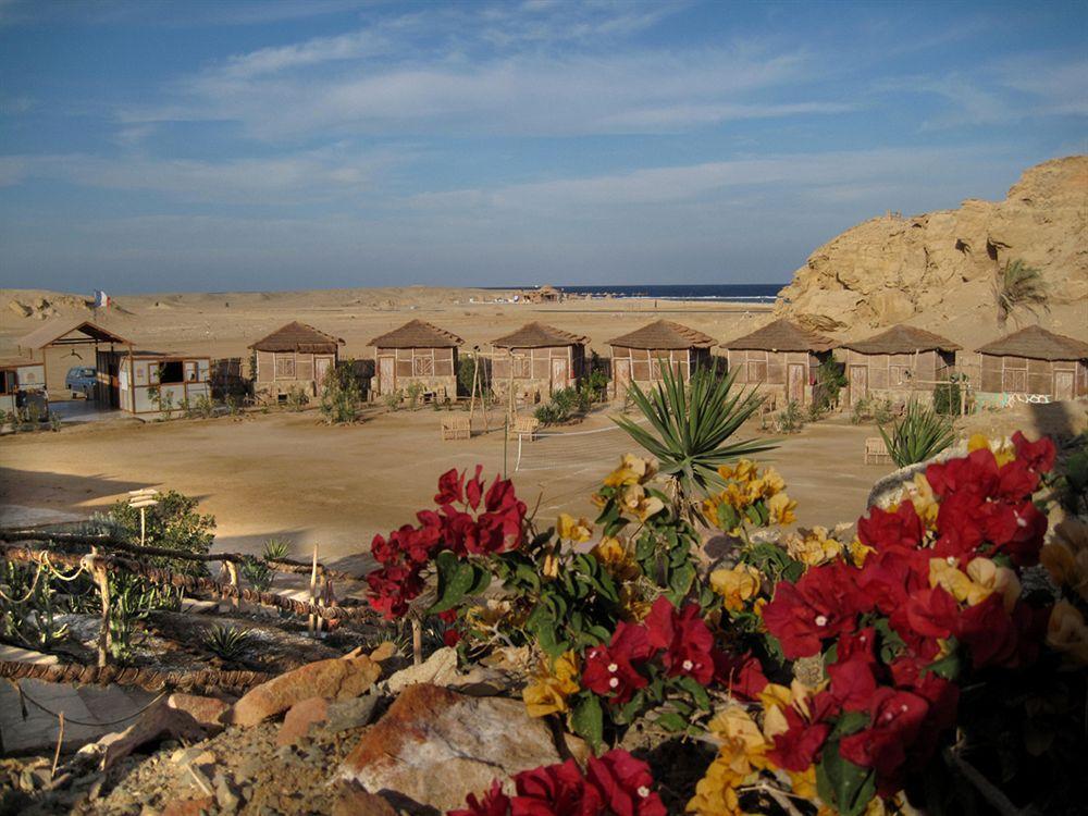 Roots Red Sea Resort