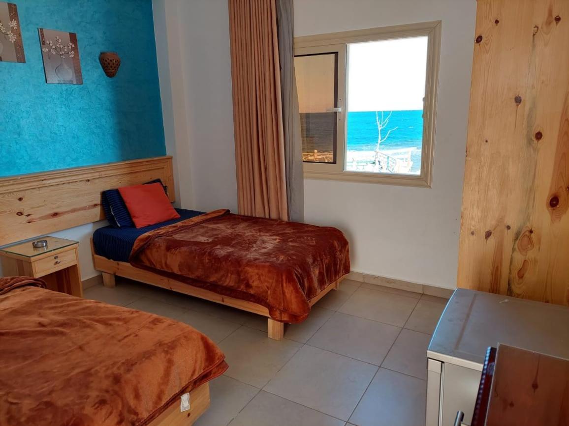 Dahab Beach Lodge Dahab