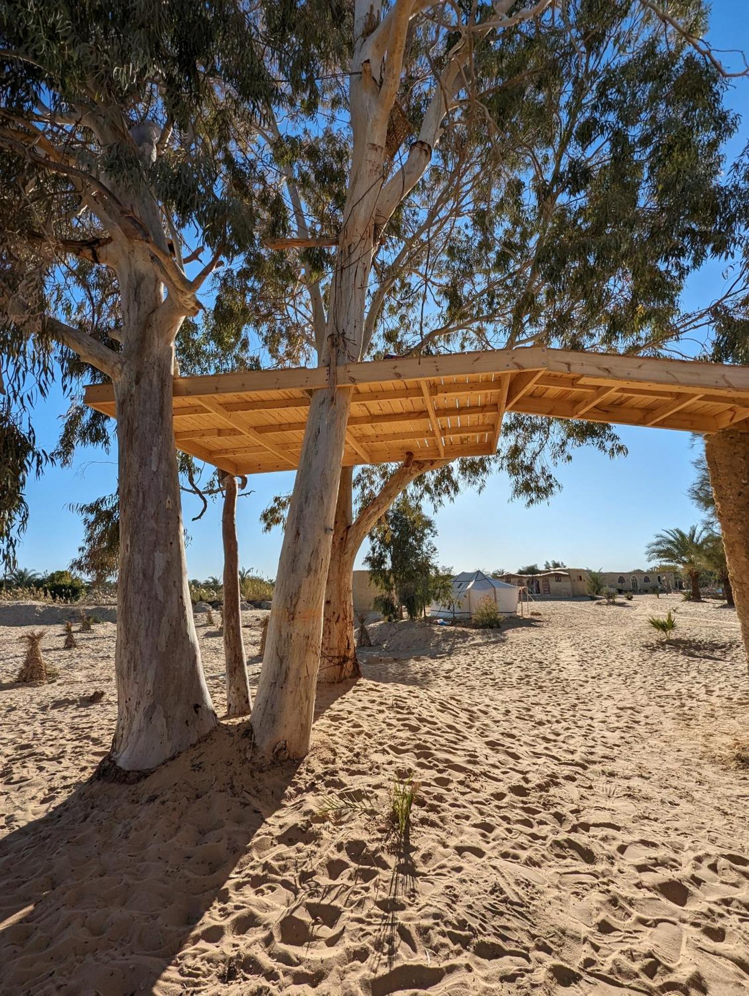 Cafour House Siwa - Hot Spring Siwa Oasis