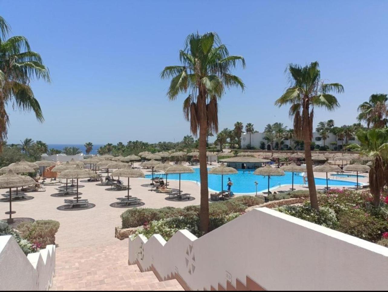Domina Coral Bay Diving Casino Sultan Hotel 5*