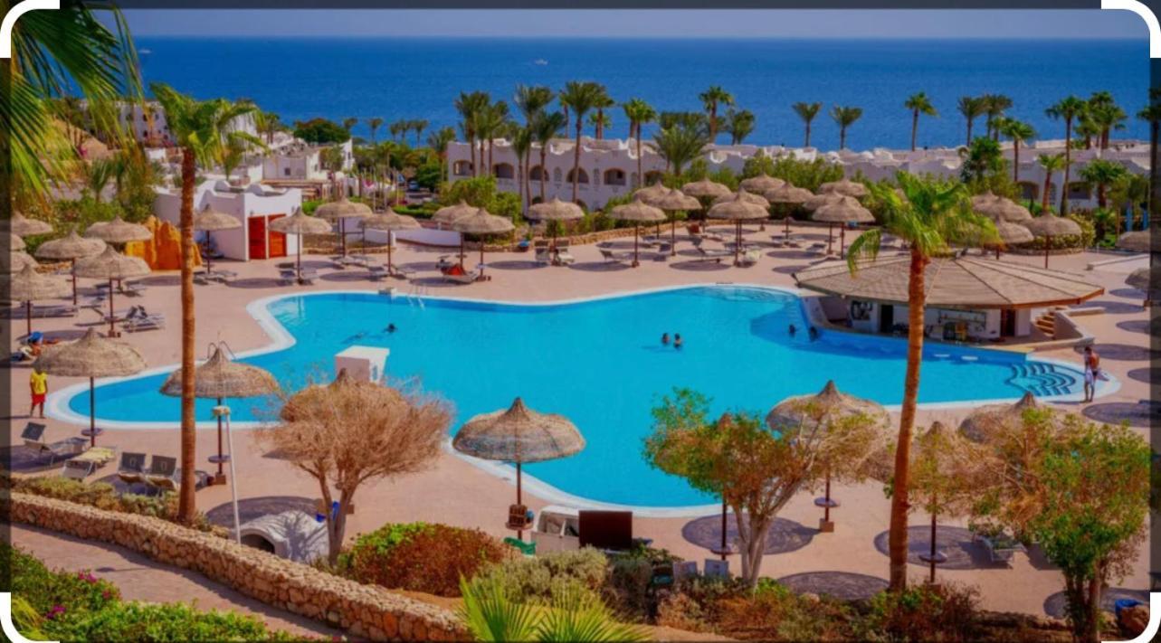 Domina Coral Bay Diving Casino Sultan Hotel 5*