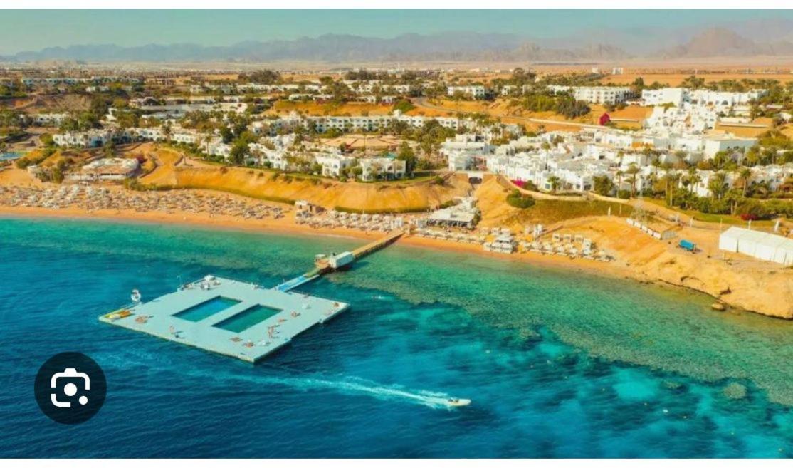 Domina Coral Bay Diving Casino Sultan 5*