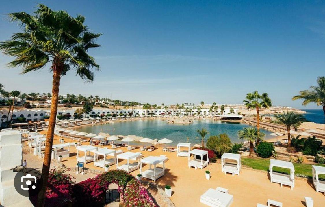 Hotel Domina Coral Bay Diving Casino Sultan