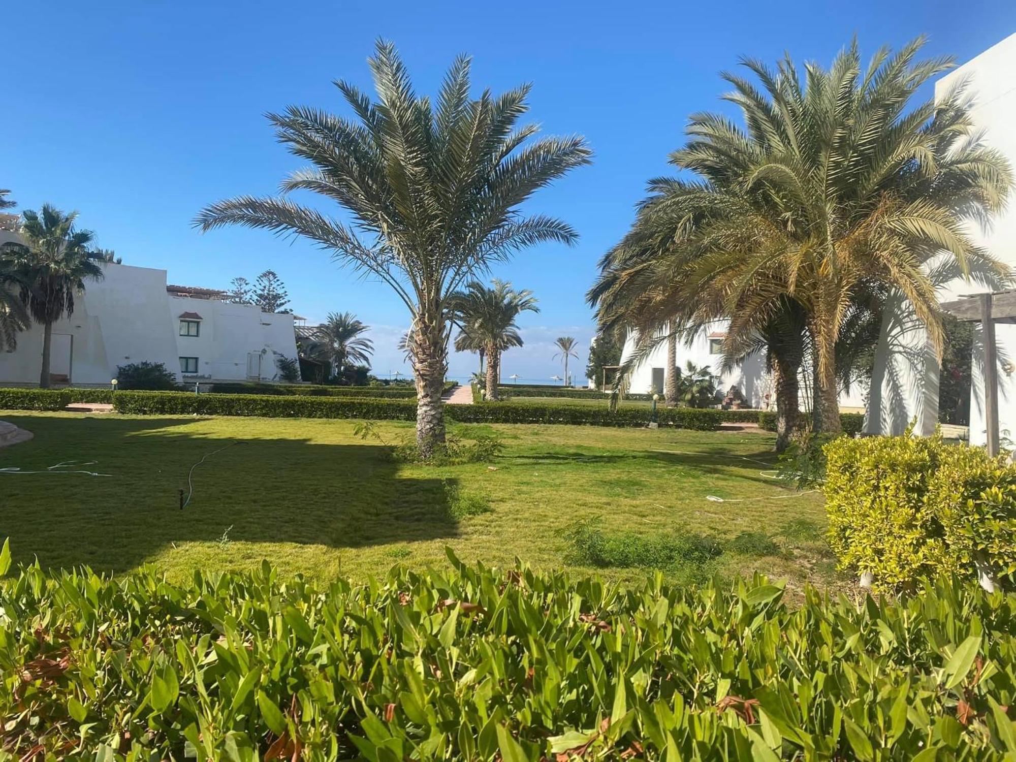 Royal Hotel 3*