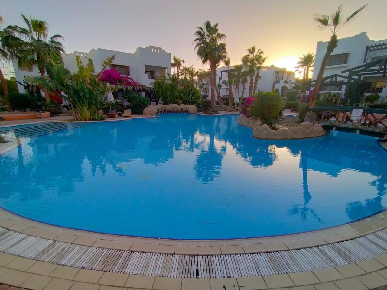 Apartment Vip *