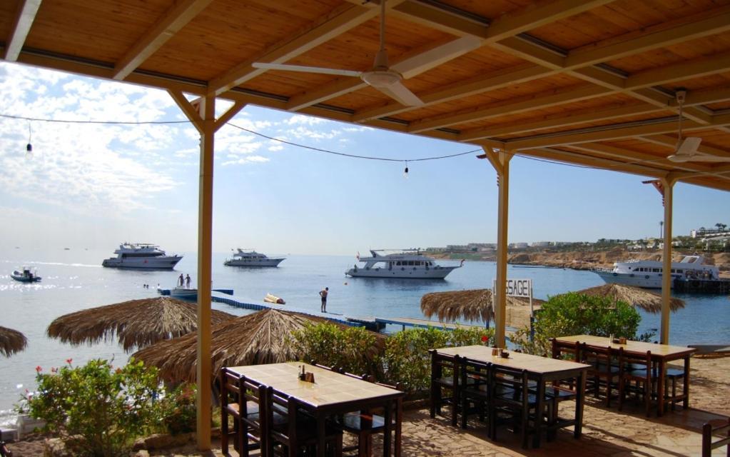 Umbi Sharks Bay Diving Village Complex 3*