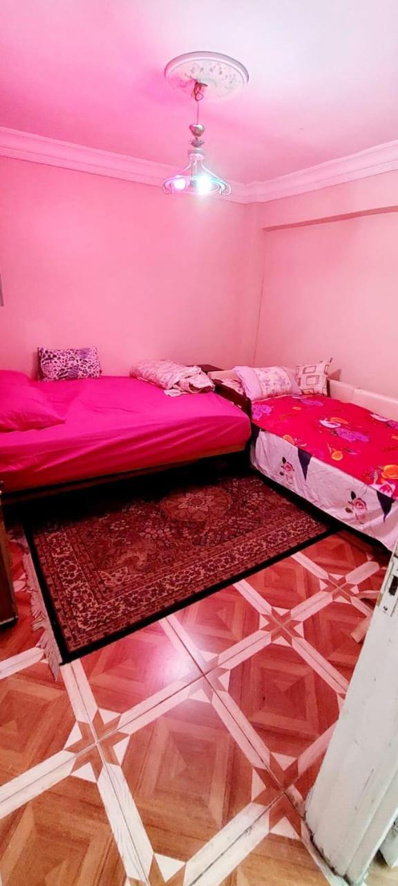Apartment مفروشة لك وحدك قريبة من مكتبة الاسكندرية Alexandria