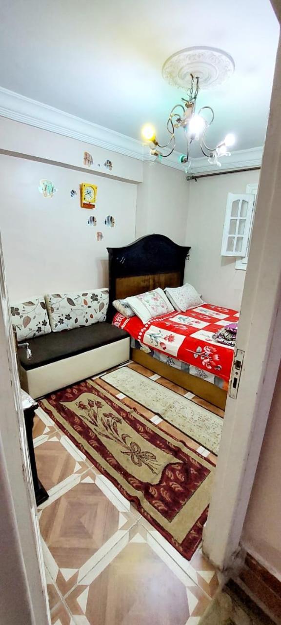 Apartment مفروشة لك وحدك قريبة من مكتبة الاسكندرية